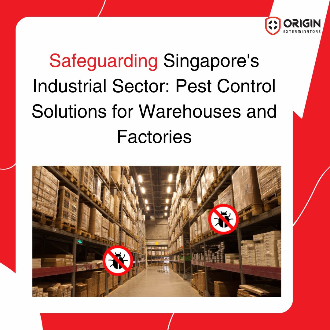 Pest Management for Singapore’s Warehouses and Factories