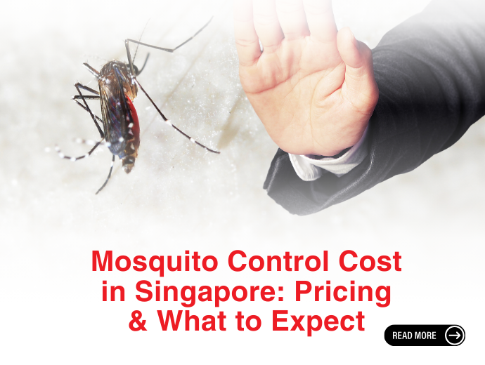 Mosquito Control Cost in Singapore: Pricing & What to Expect