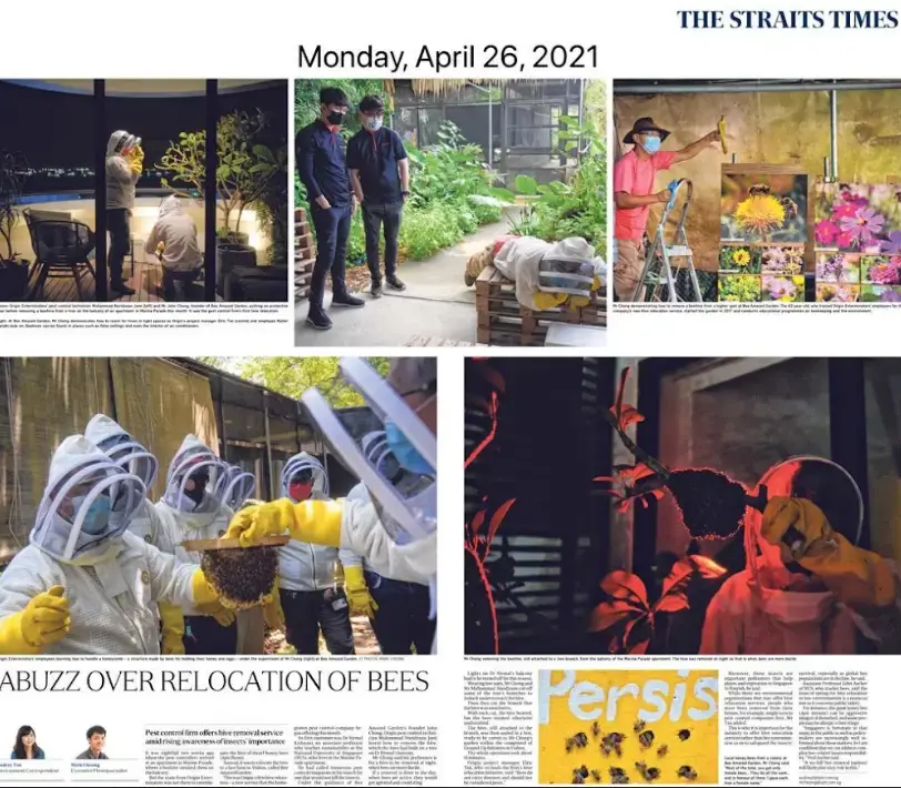 pasted image 0 (13)-1 (1)