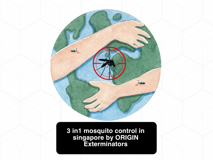 3-in-1 mosquito control in Singapore by ORIGIN Exterminators