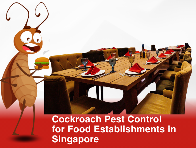 Cockroach Pest Control for Food Establishments in Singapore
