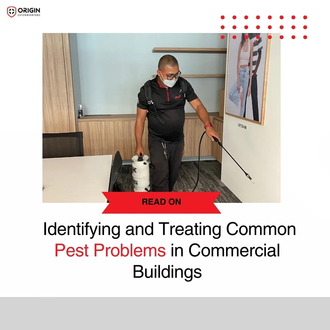 Pest Management: Identifying & Treating Commercial Pests