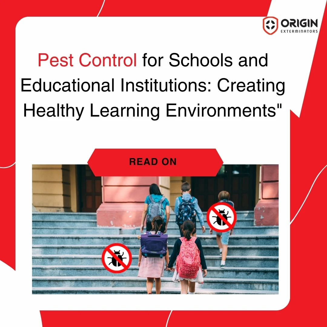 Pest Control in Schools: Ensuring Healthy Learning Spaces