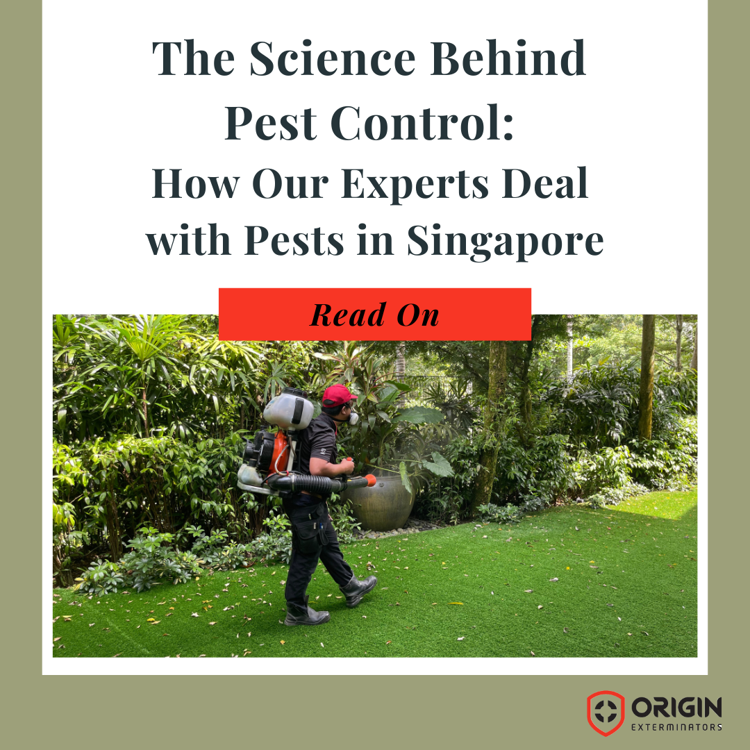 The Science Behind Pest Control: How ORIGIN Deals in Singapore
