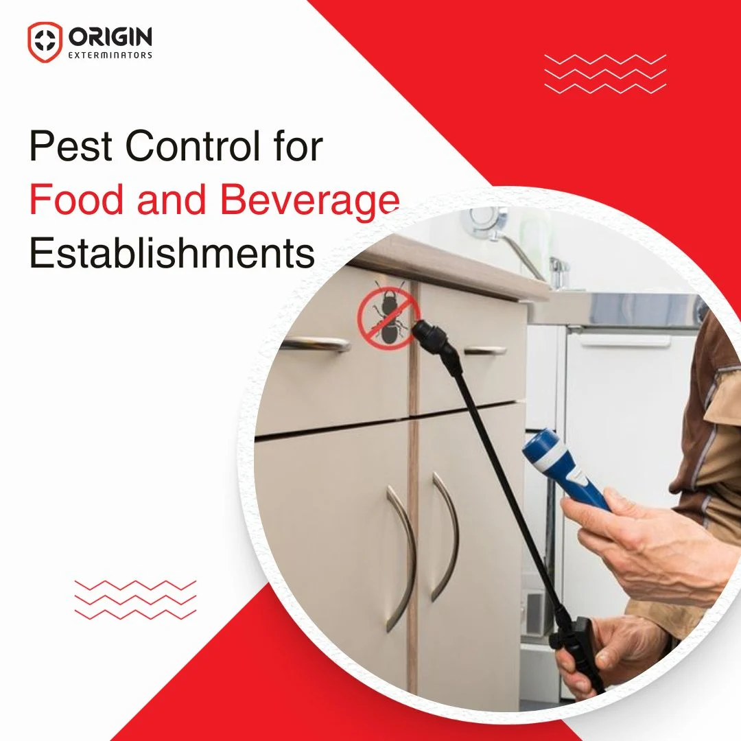 Pest Control in F&B services: Compliance & Best Practices