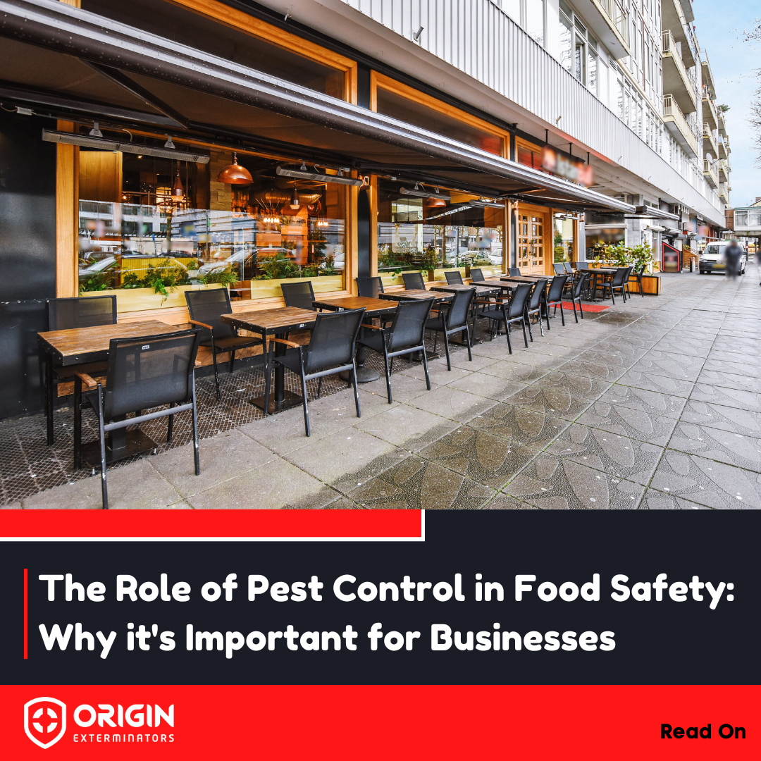 Pest Control’s Role in Food Safety for Business in Singapore