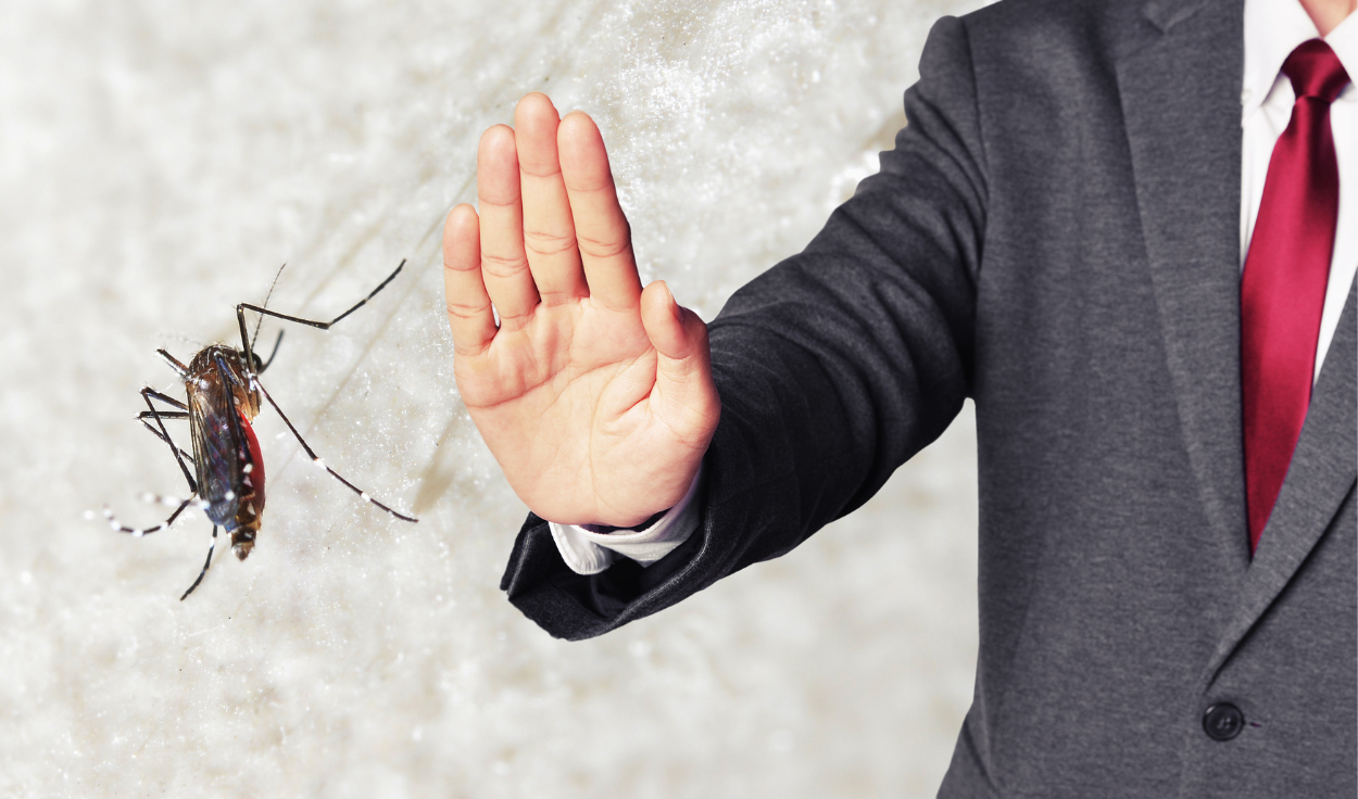 Mosquito Control Tips to Protect Your Home